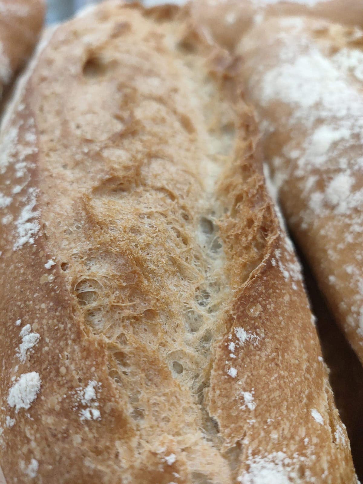 ¡Disfruta de nuestro sabroso pan del país con trigo gallego!